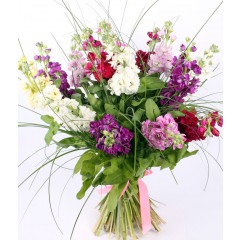 Different colors gillyflower fragrant bouquet