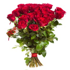 Red roses I love You