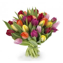 Different colored tulip bouquet