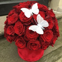 Red roses in a round box with butterflies