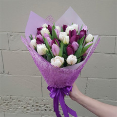 Bouquet of white and purple tulips