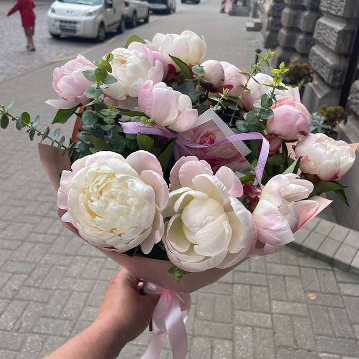 Peonijas Gardenia