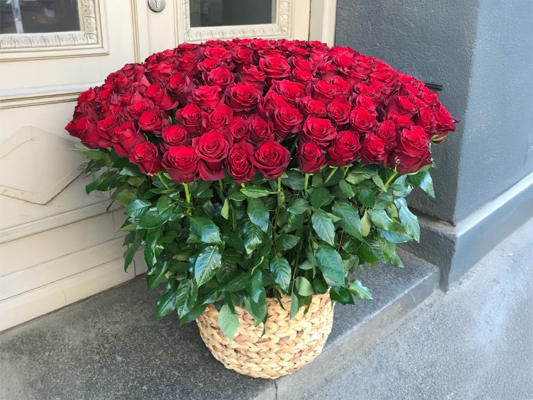 XXL rožu grozi ar piegādi